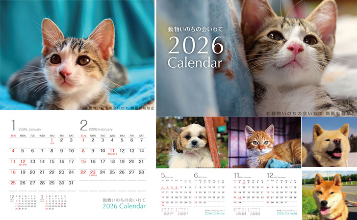 保護猫・保護犬の2026年カレンダー