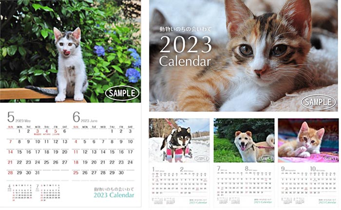 保護猫・保護犬の2023年カレンダー