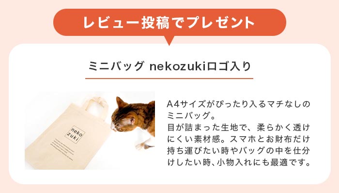 レビューでプレゼント