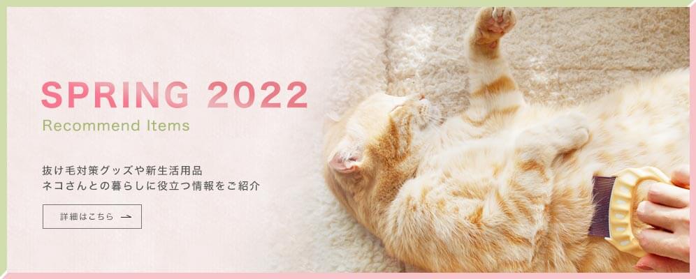ネコさんの春おすすめグッズ 2022