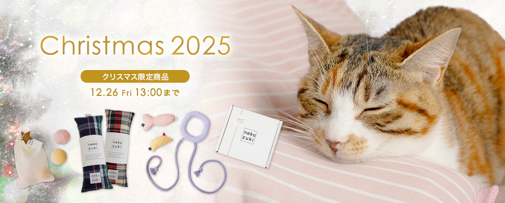 2025クリスマス
