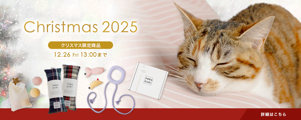 クリスマスギフト特集2025