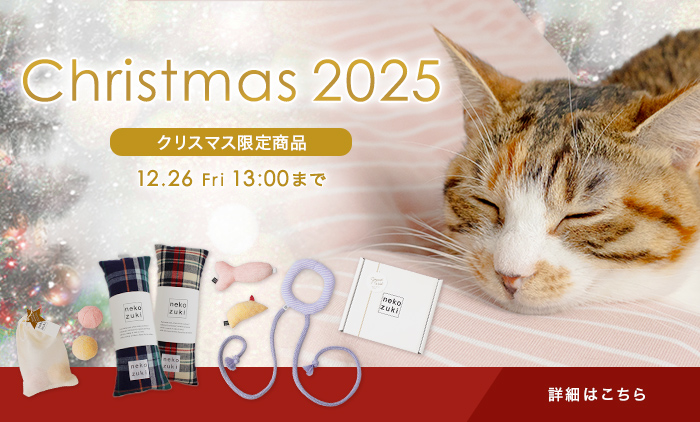 クリスマスギフト特集2025