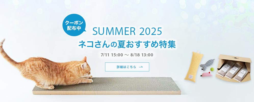 夏のおすすめ