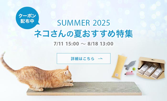 夏のおすすめ