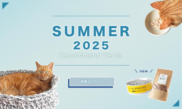 夏のおすすめ