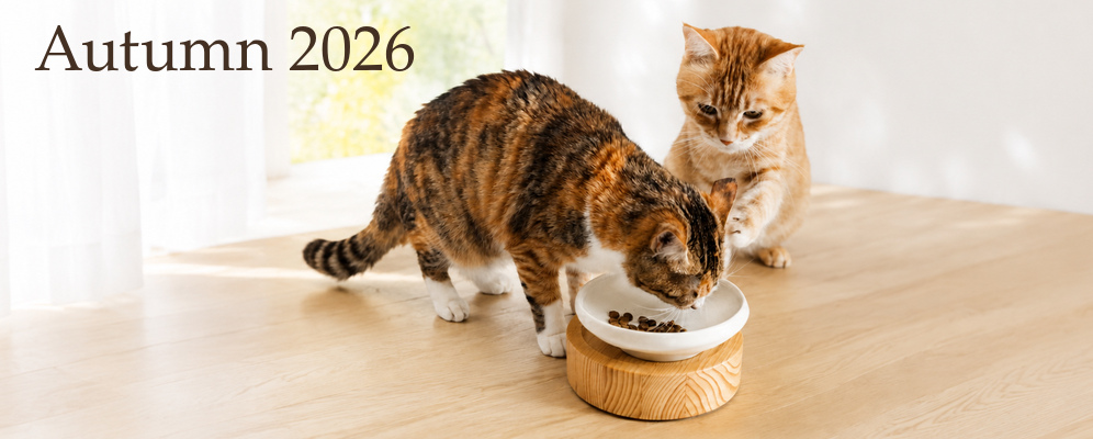 ネコさんの秋のおすすめグッズ Autumn 2026
