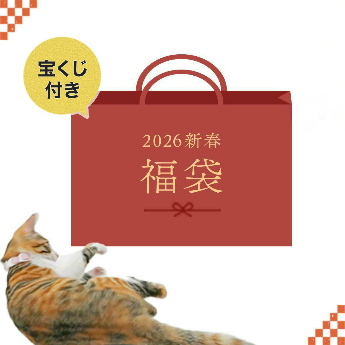 猫さんのクリスマスギフト特集2025＆福袋2026 | nekozuki（ねこずき