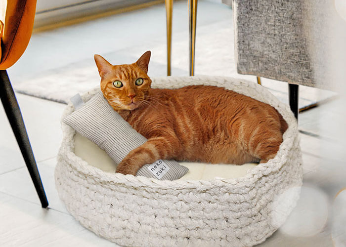 プレゼントにおすすめの猫用ベッド