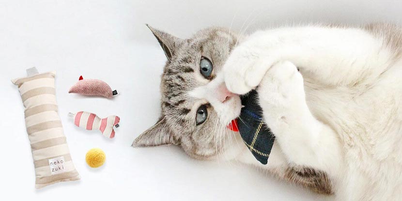 遊び比べできる猫のおもちゃセット