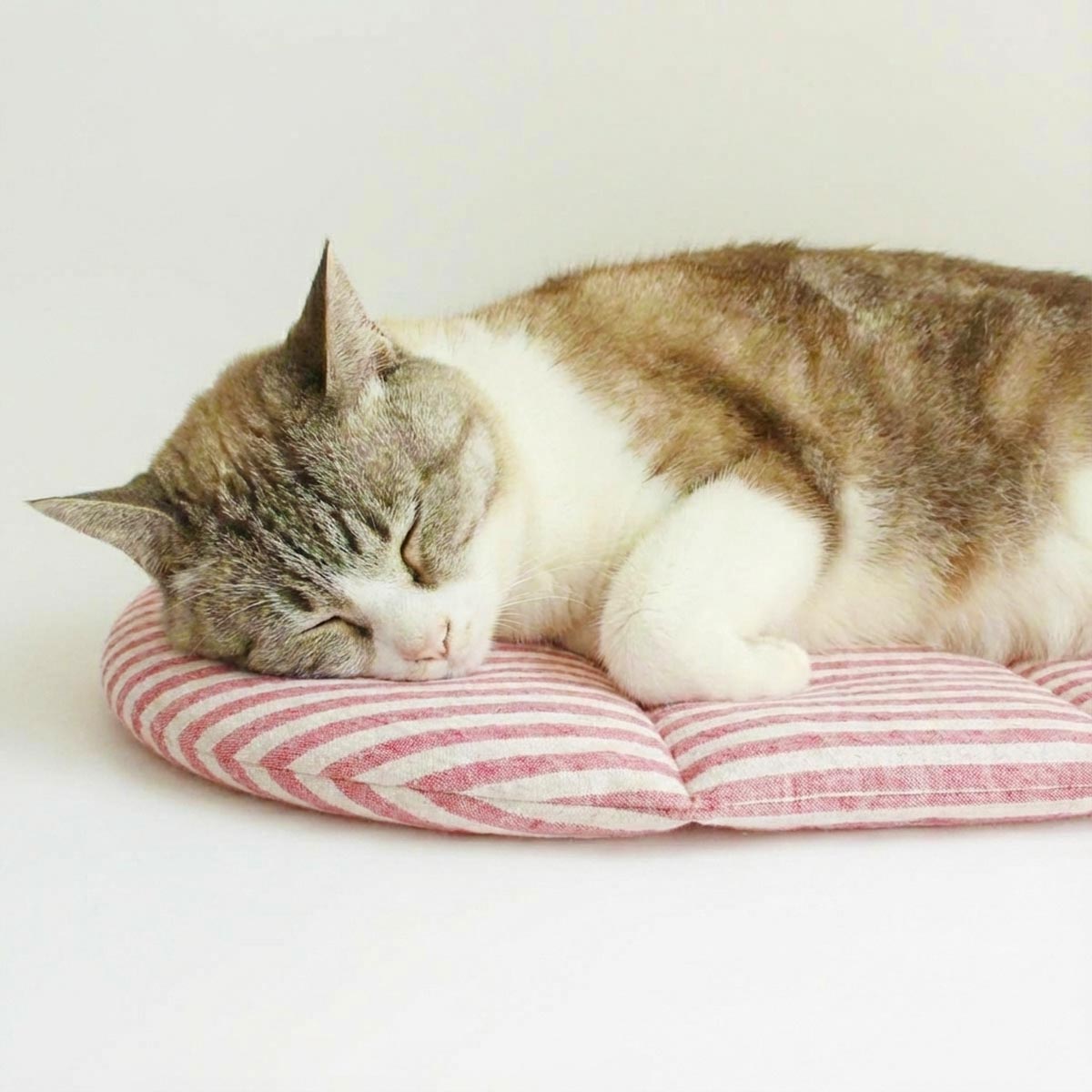 電気不要の暖房器具