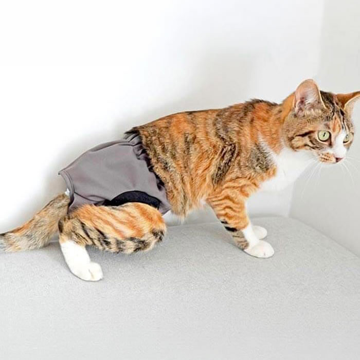 高齢猫の介護用オムツカバー