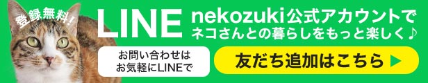 LINE公式アカウント友達追加