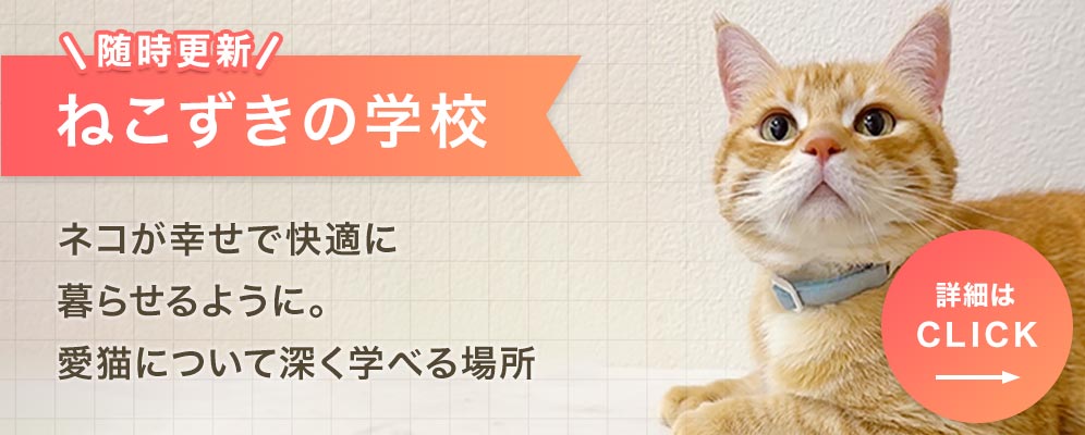 ねこずきの学校