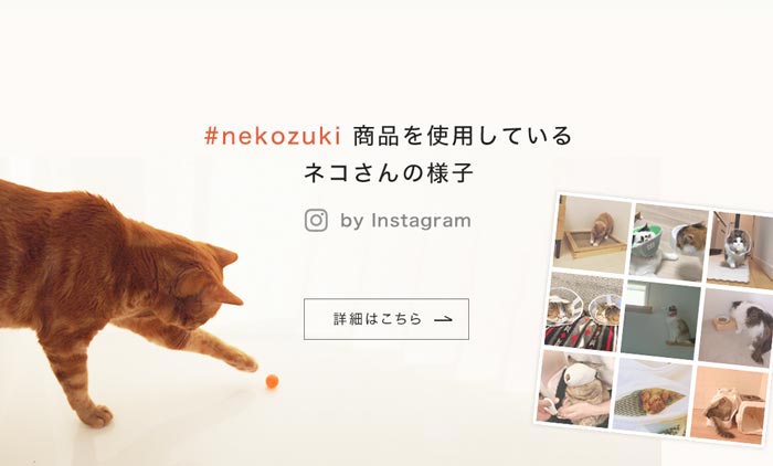 nekozuki商品を使用しているネコさんの様子